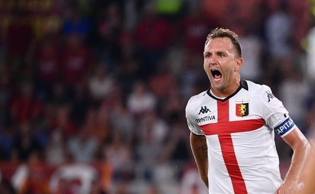 红腹西锦龟详细介绍